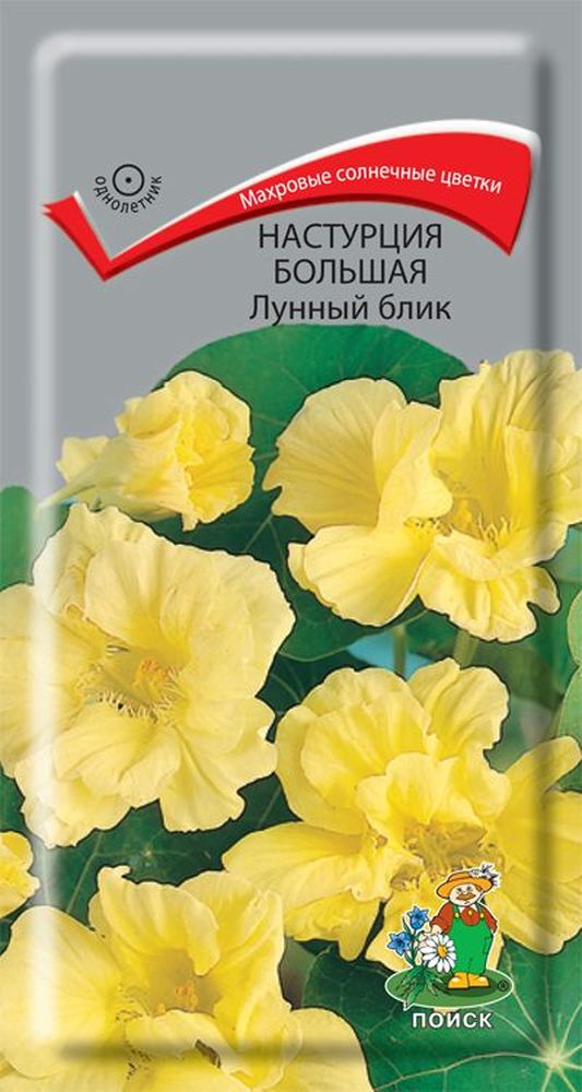 Изображение товара Семена настурция лунный блик