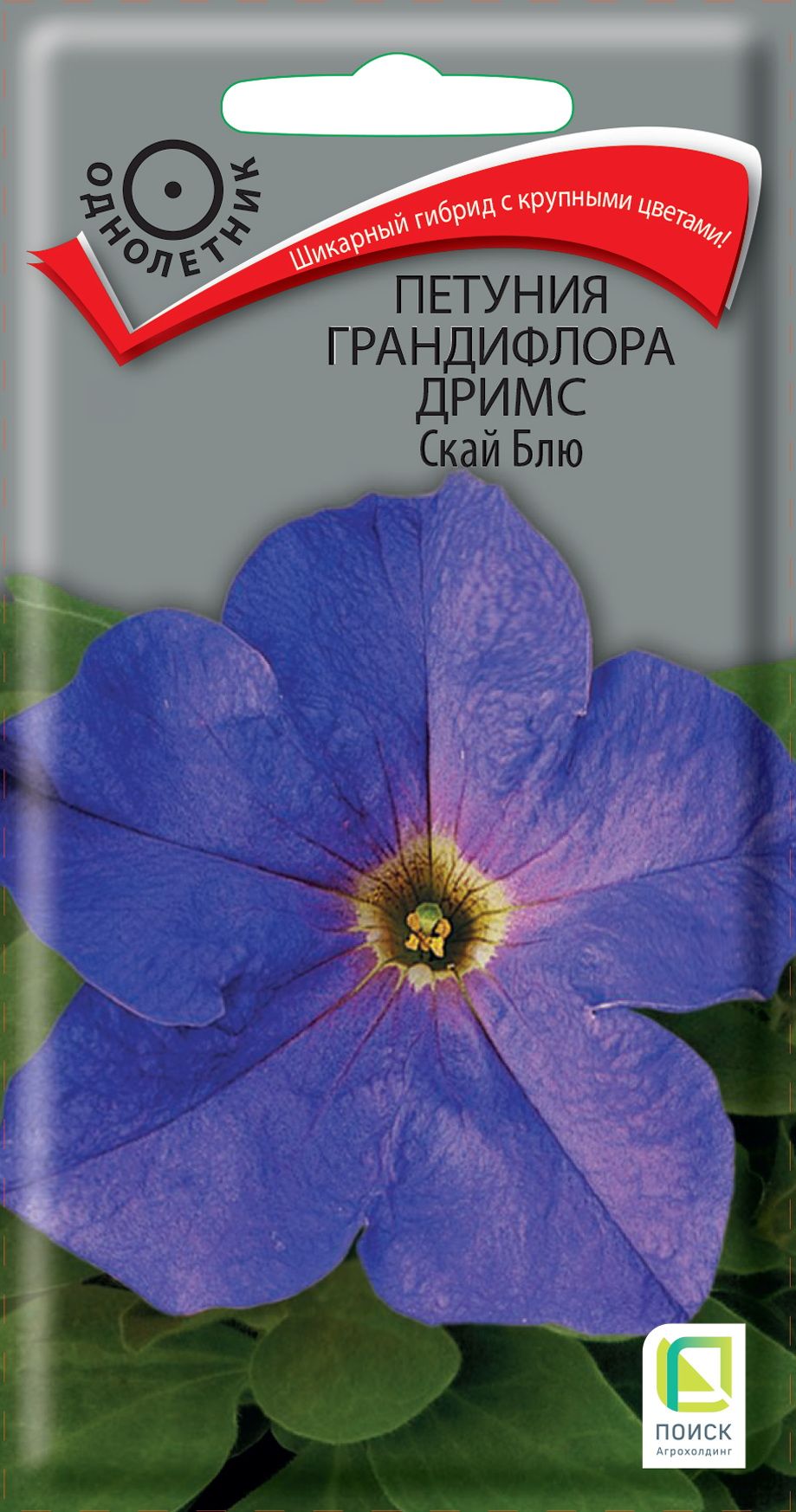 Изображение товара Семена петуния дримс скай блю