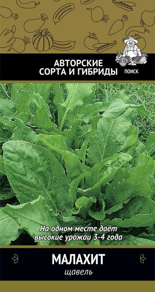 Изображение товара Семена щавель малахит 