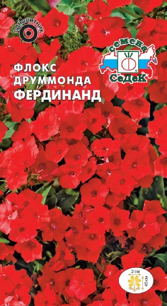Изображение товара Цветок Флокс Фердинанд