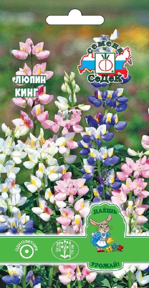 Изображение товара Цветок Люпин Кинг