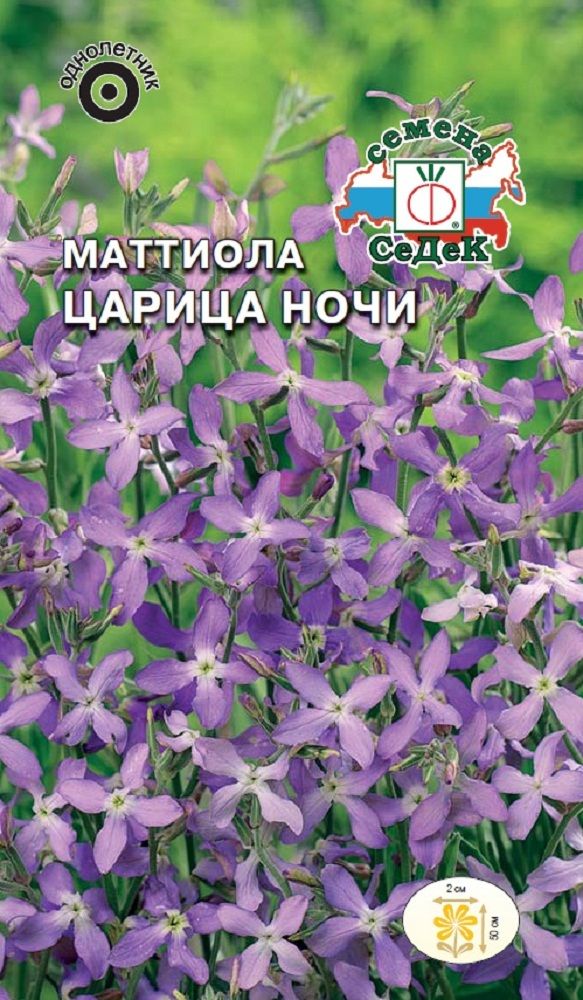 Изображение товара Цветок Маттиола Царица ночи