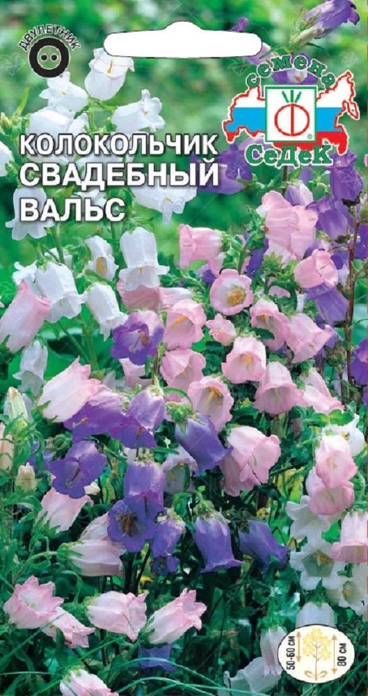 Изображение товара Цветок Колокольчик Свадебный вальс