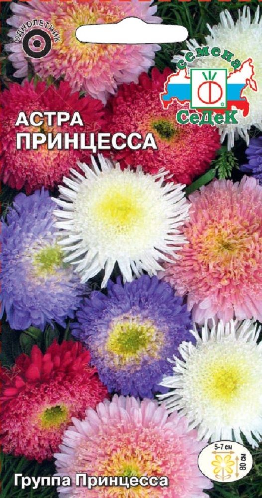 Изображение товара Цветок Астра Принцесса
