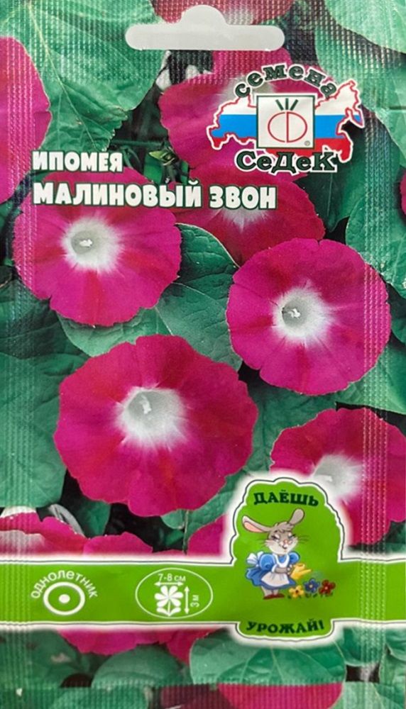 Изображение товара Цветок Ипомея Малиновый звон