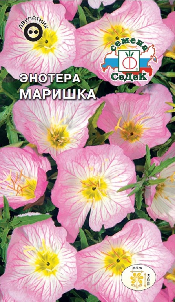 Изображение товара Цветок Энотера Маришка