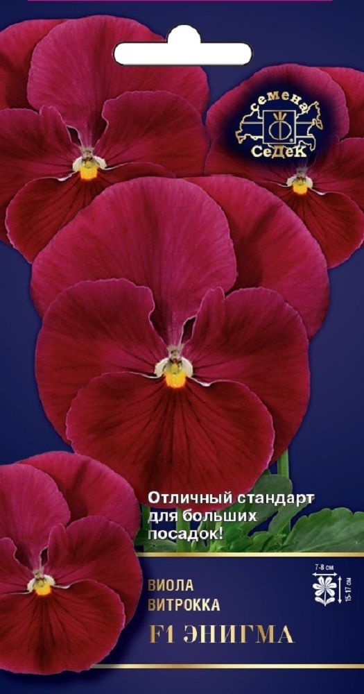 Изображение товара Цветок Виола Энигма F1