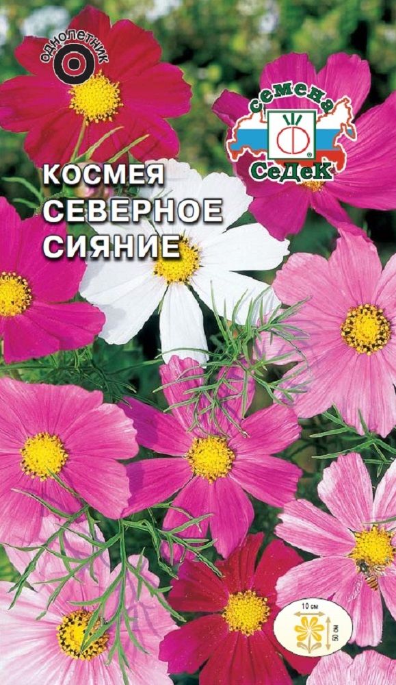 Изображение товара Цветок Космея Северное сияние