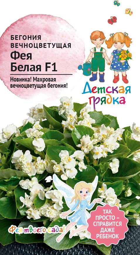 Изображение товара Семена Бегония вечноцветущая  ФЕЯ Белая F1 5 шт Детская грядка