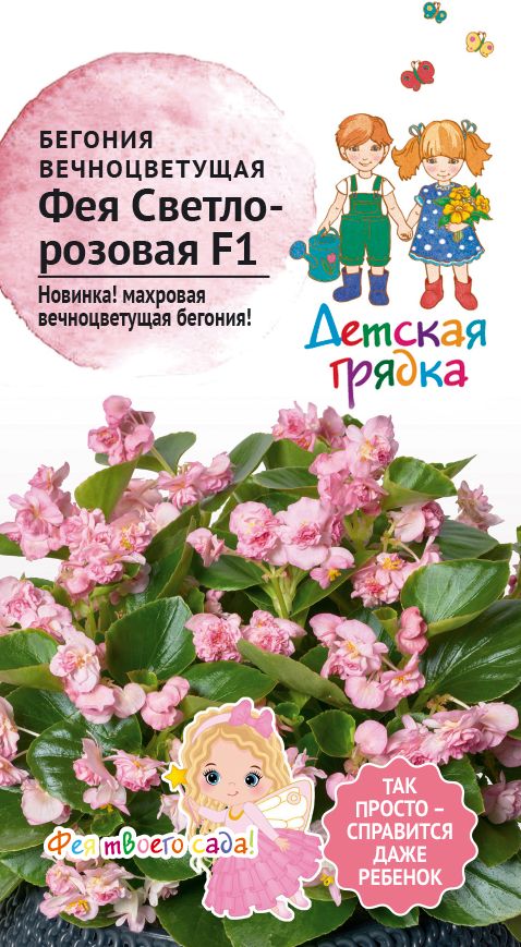 Изображение товара Семена Бегония вечноцветущая ФЕЯ Светло-розовая F1 5 шт Детская грядка