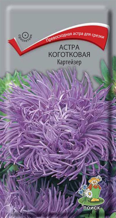 Изображение товара Семена Астра Коготковая Картейзер 0,3 г