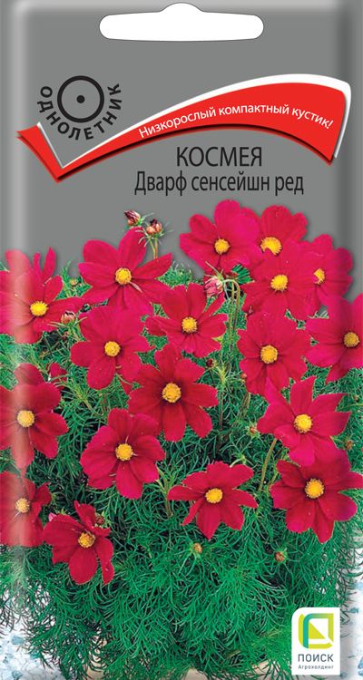 Изображение товара Семена Космея Дварф Сенсейшн Ред 0,2 г