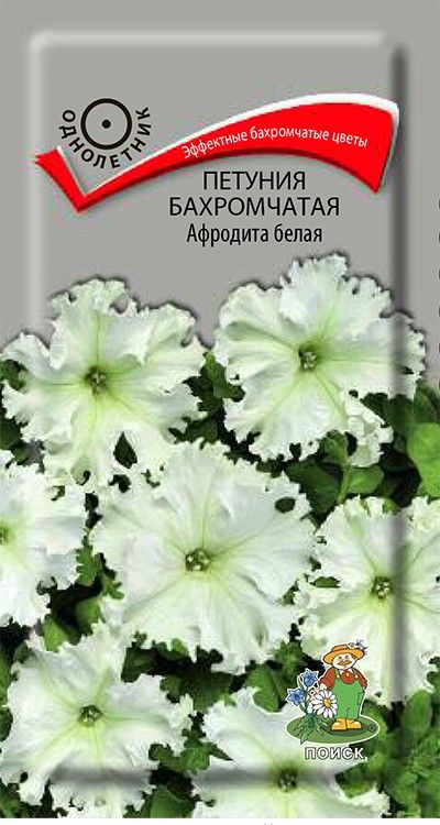 Изображение товара Семена Петуния Афродита Белая 10 Шт