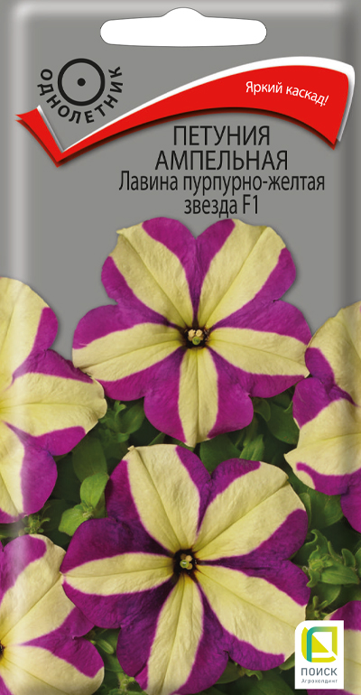 Изображение товара Семена Петуния Пурпурно-Жёлтая Звезда 10 Шт