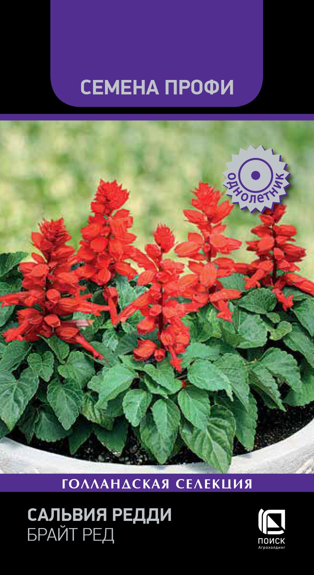 Изображение товара Семена Сальвия Редди Брайт Ред 10 Шт