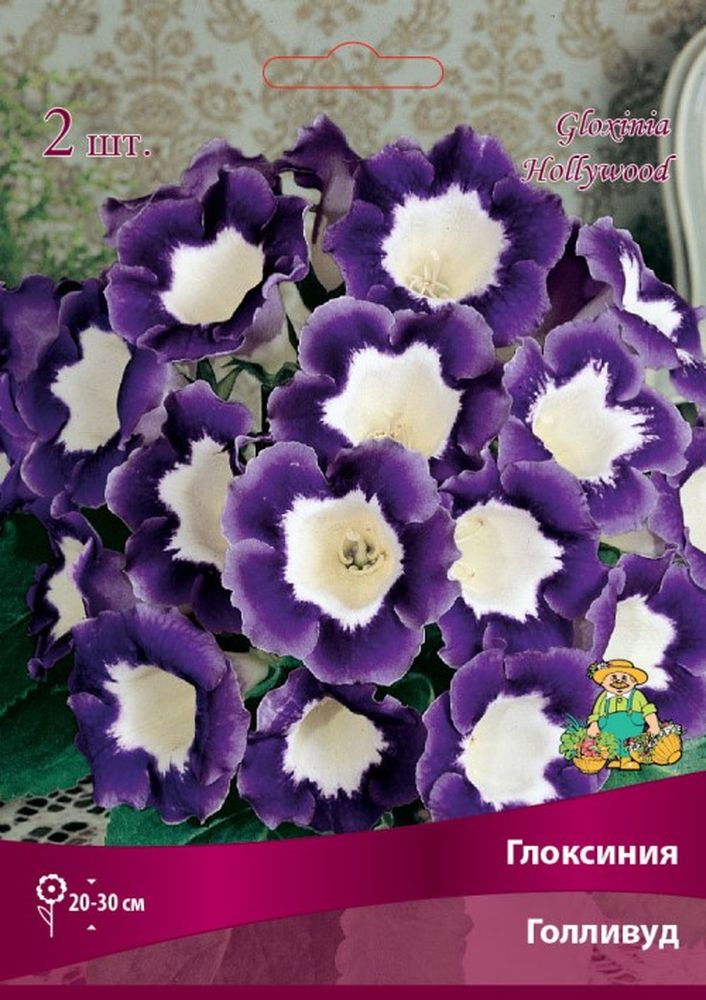 Изображение товара Луковицы ПОИСК ГЛОКСИНИЯ ГОЛЛИВУД 2 шт