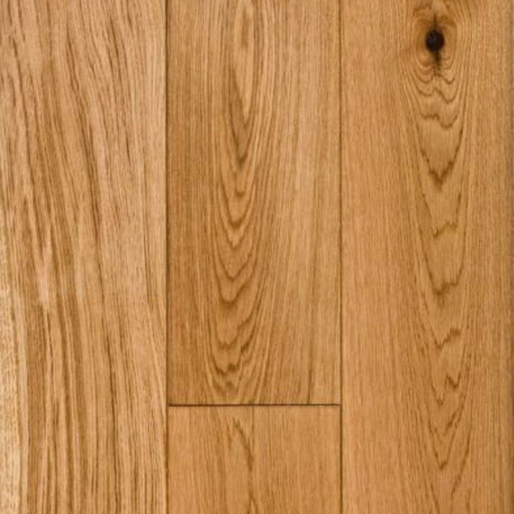 хвойные деревья ель, сосна, кедр. дуб хвоя. щит дуб кантри цельноламельный. мяндовая сосна. ель и сосна.