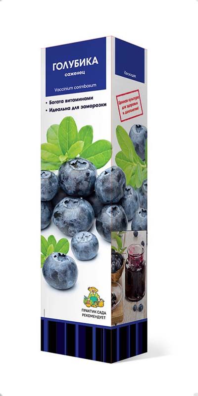 Изображение товара Растение голубика сорта Река С1 Н37, многолетний саженец для дачи и сада