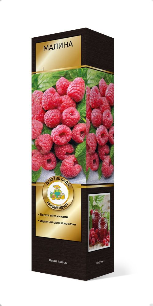 Изображение товара Растение ПОИСК МАЛИНА АЛАЯ РОССЫПЬ С1 Н37