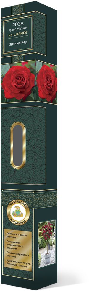 Изображение товара Растение ПОИСК РОЗА ФЛОРИБУНДА ОПТИМА РЕД С1 Н45