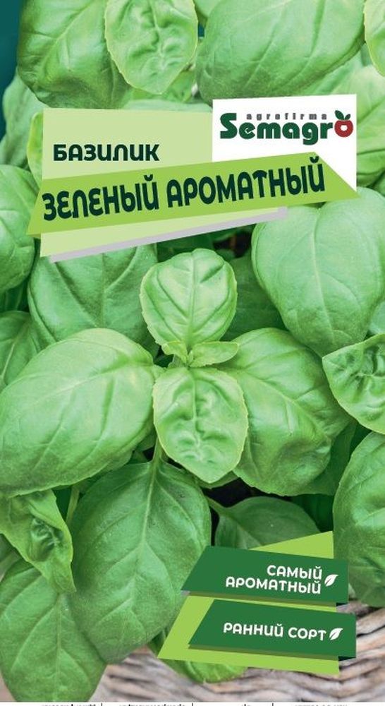 Изображение товара Семена Базилика SEMAGRO Зелёный Ароматный