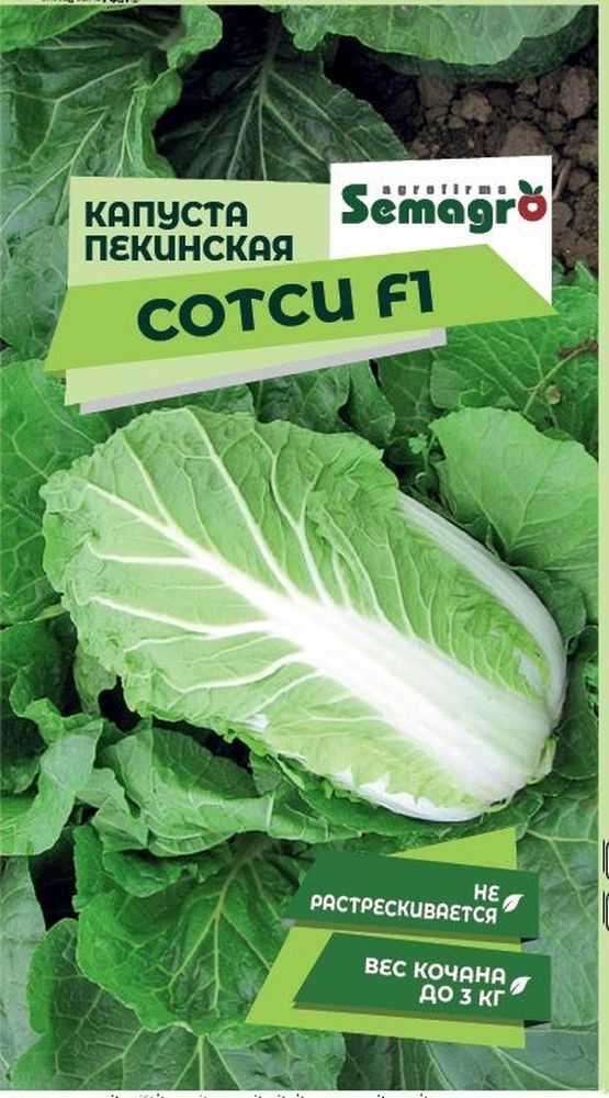 Изображение товара Семена Капусты пекинской SEMAGRO Сотси F1