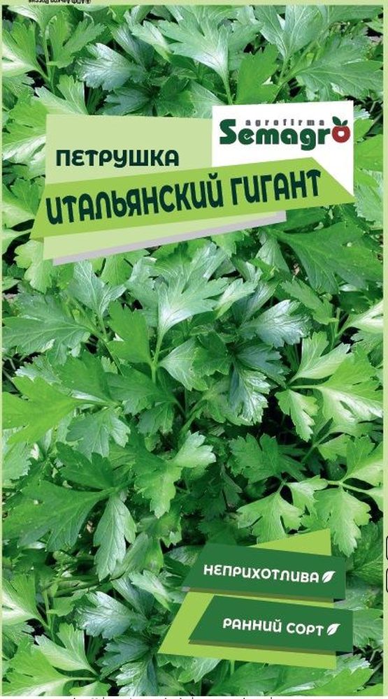 Изображение товара Семена Петрушки SEMAGRO Итальянский Гигант