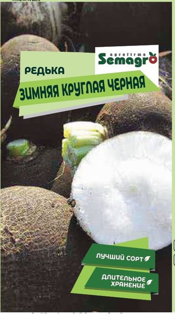 Изображение товара Семена Редьки SEMAGRO Зимней Круглой Чёрной