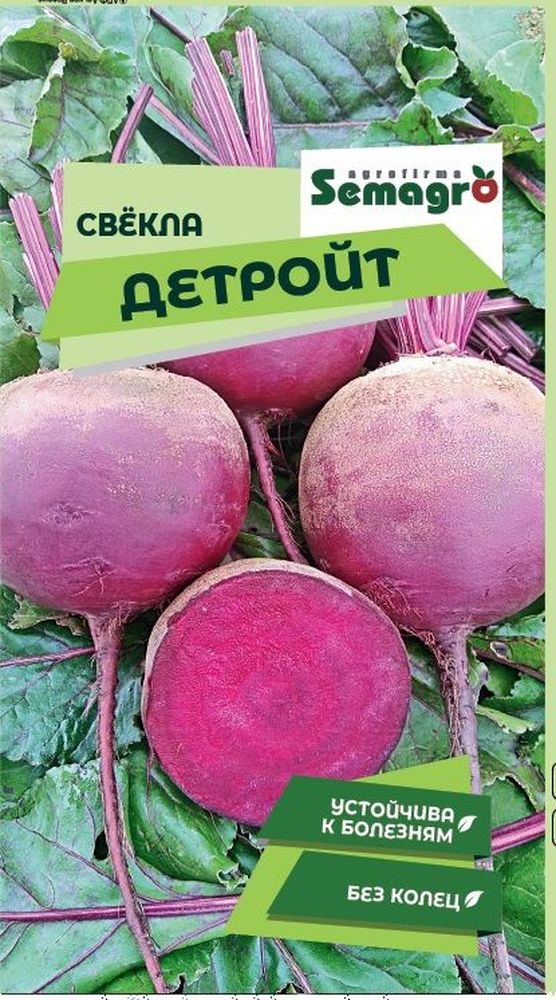 Изображение товара Семена Свёклы SEMAGRO Детройт