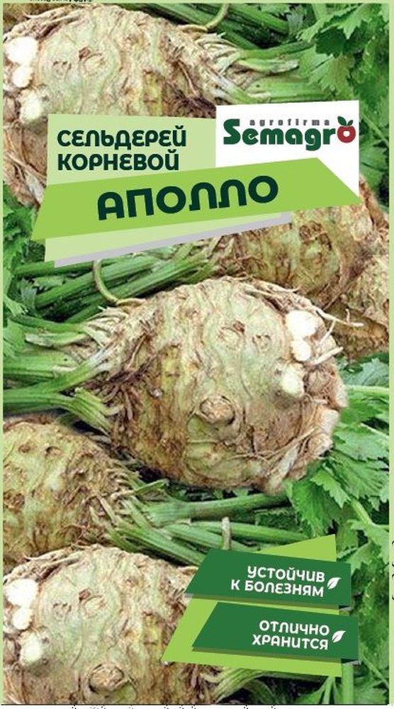 Изображение товара Семена Сельдерея корневого SEMAGRO Аполло