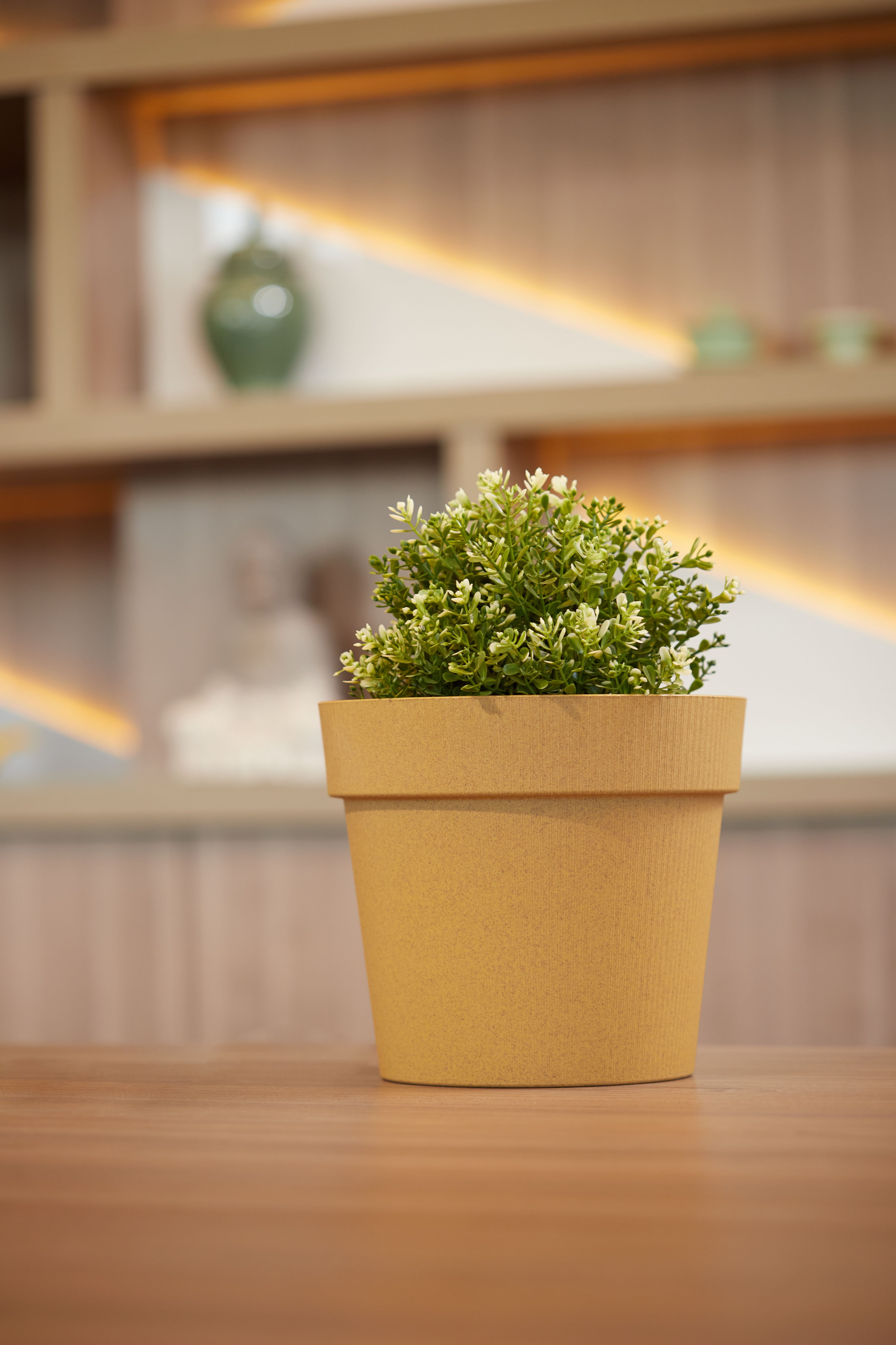 Изображение товара Протея Эко ЧЕТЫРЕ СЕЗОНА D22 5,1 л со вставкой, горчичный