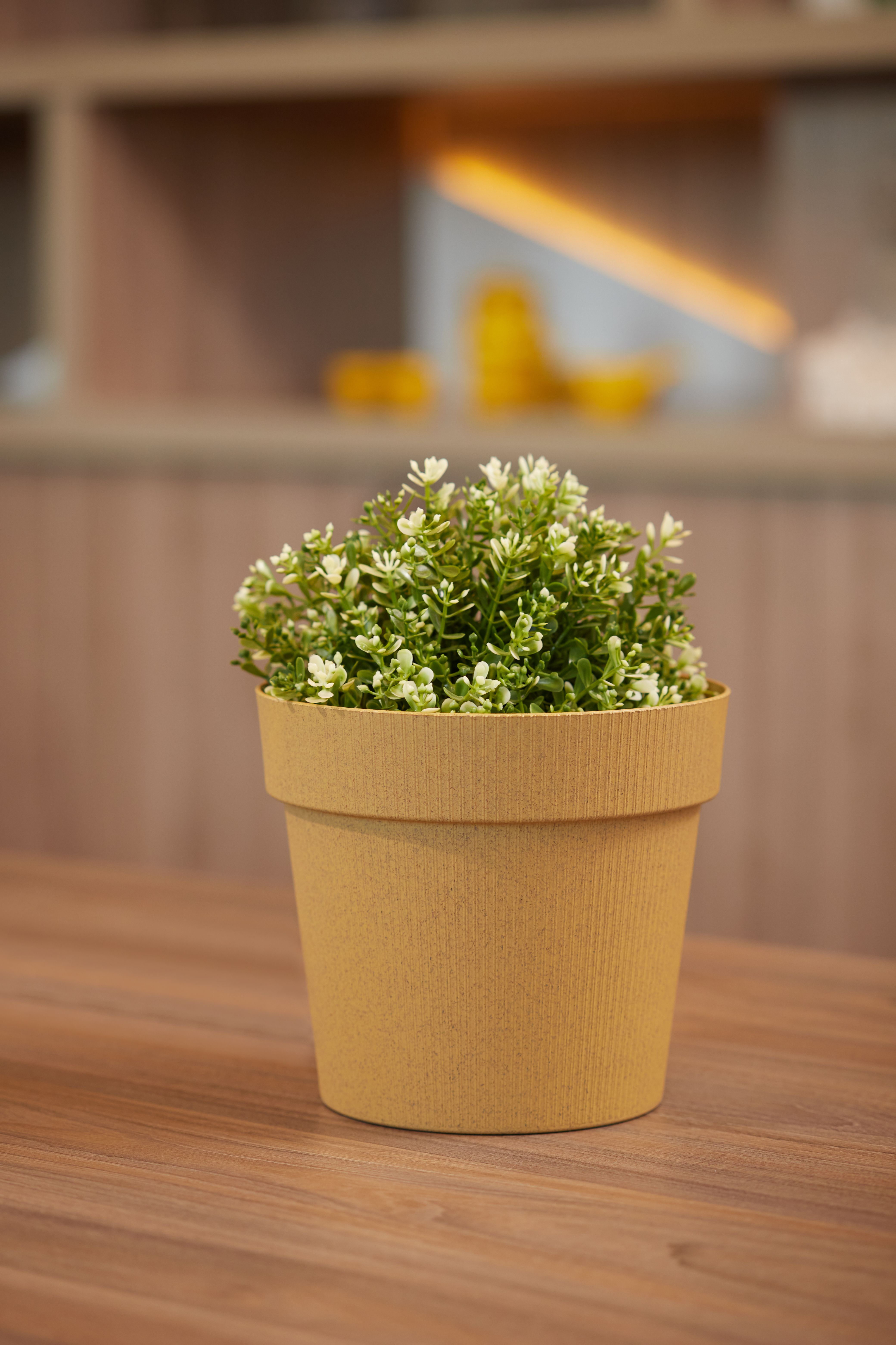 Изображение товара Протея Эко ЧЕТЫРЕ СЕЗОНА D18,5 3,1 л со вставкой горчичный