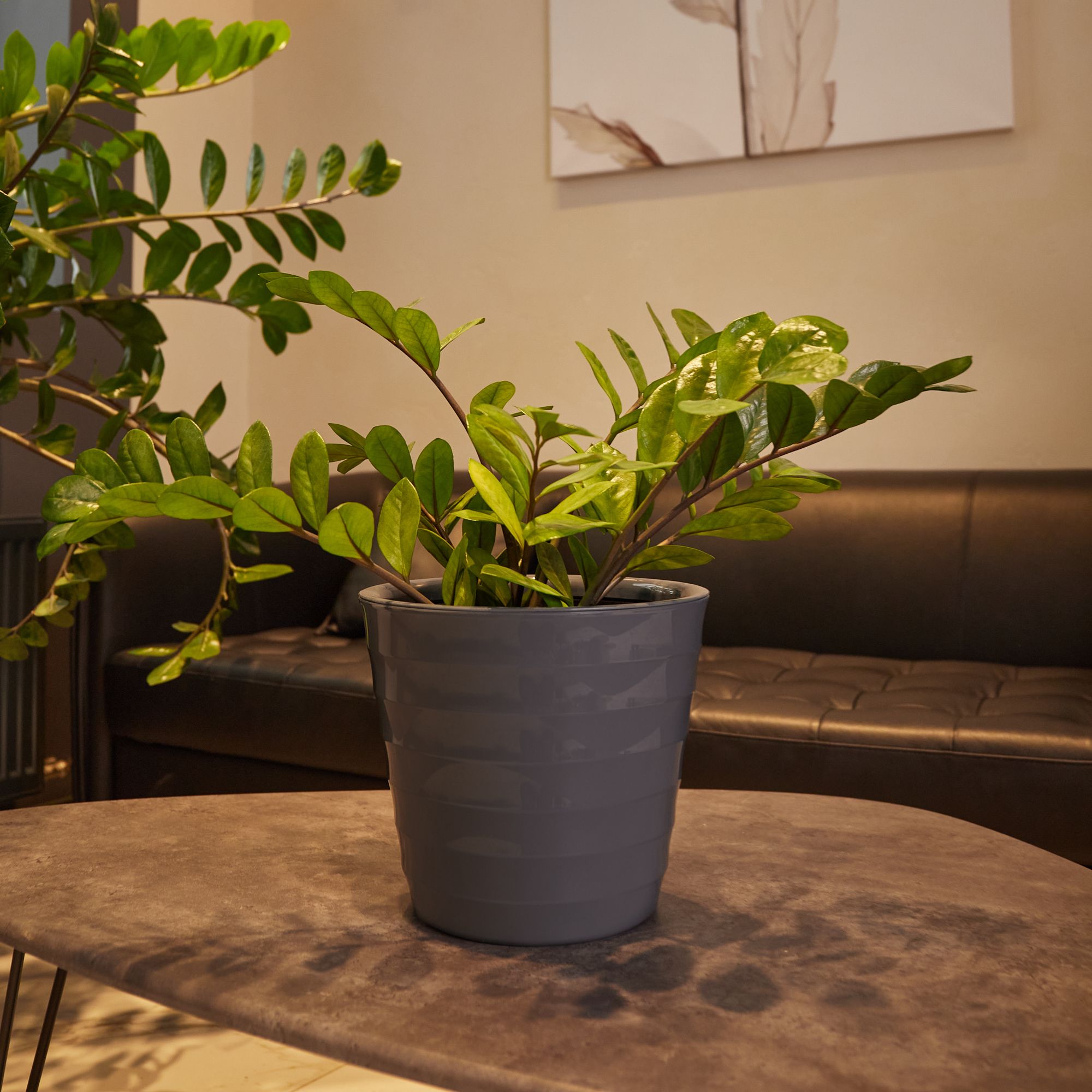 Изображение товара Кашпо ЧЕТЫРЕ СЕЗОНА Лаура D27 9 л антрацит