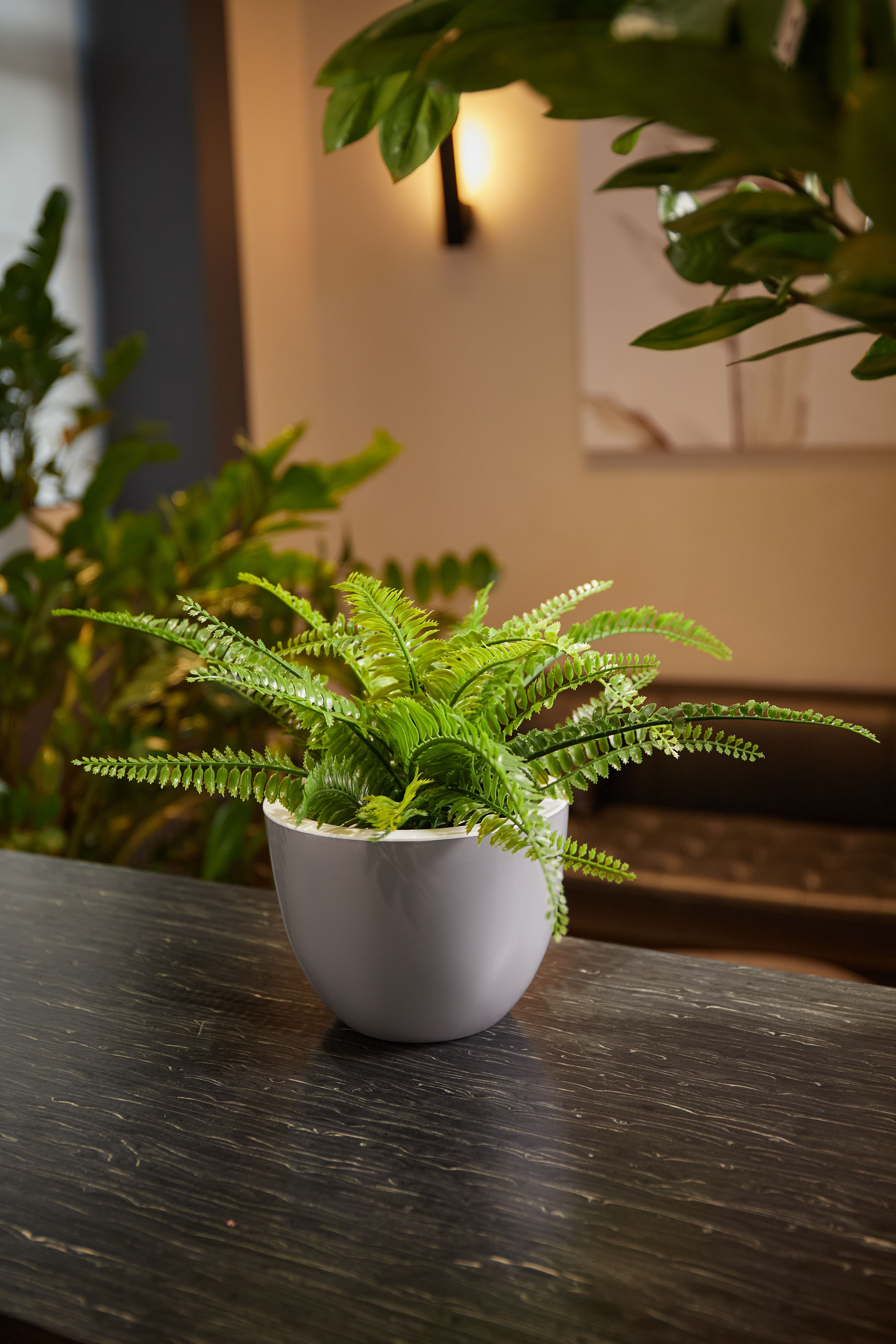 Изображение товара Кашпо ЧЕТЫРЕ СЕЗОНА Орион D17 2,3 л серый муссон