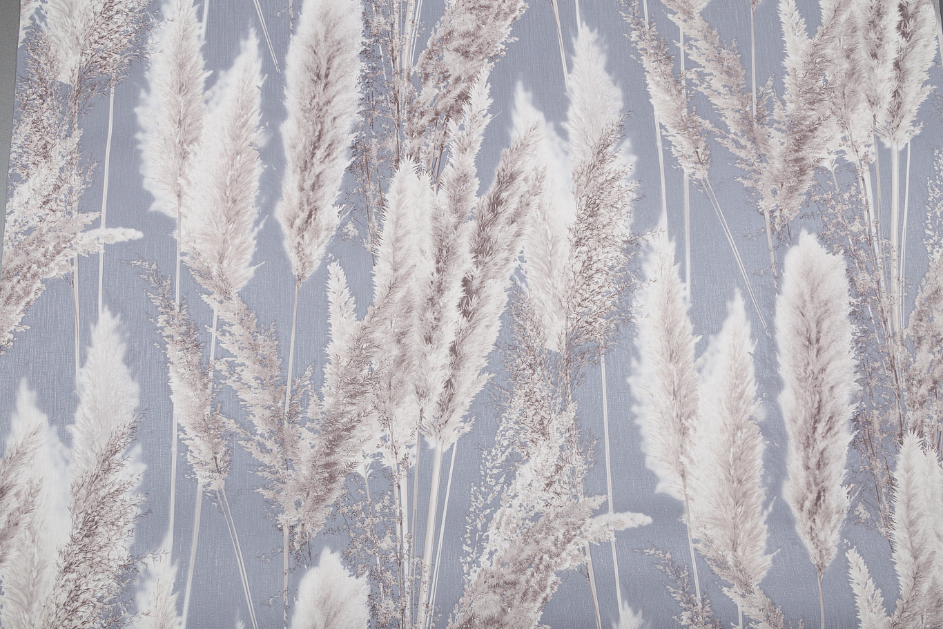 Изображение товара Флизелиновые обои VOG Collection CORTADERIA 1,06х10,05 м серые с растительным орнаментом