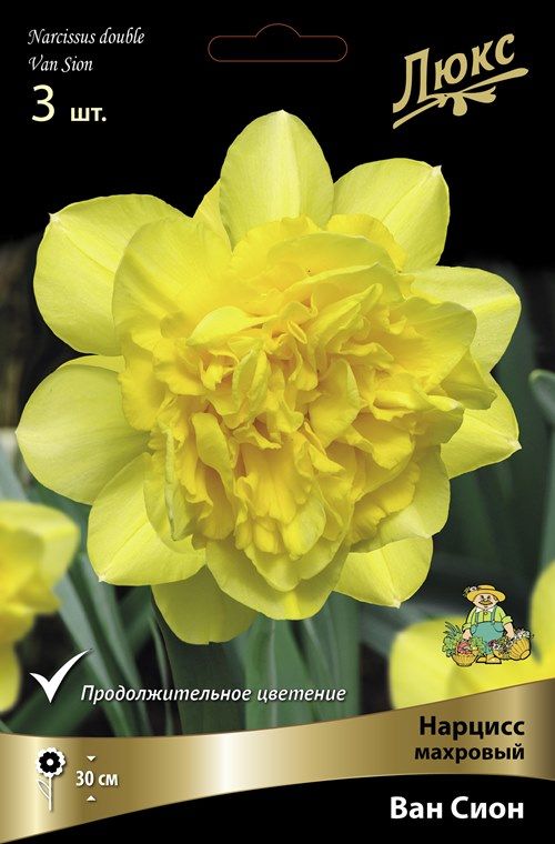 Изображение товара Нарцисс махровый ван сион луковицы для посадки яркий желтый цвет