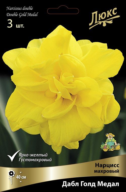 Изображение товара Нарцисс махровый дабл голд медал - жёлтые луковицы для сада