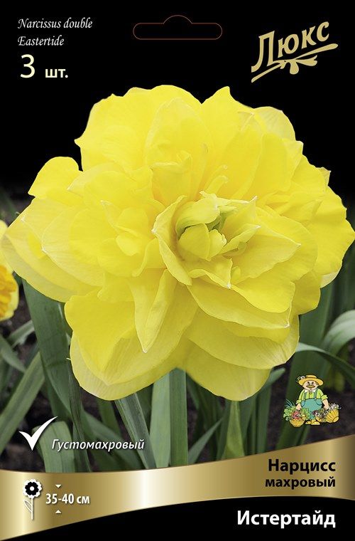 Изображение товара Нарцисс махровый истертайд - яркий желтый цветок для вашего сада
