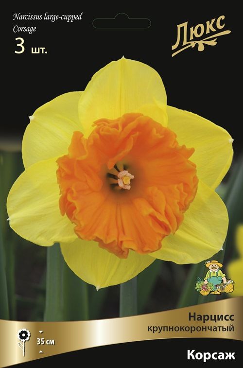 Изображение товара Луковицы нарцисса крупнокорончатого корсаж Желтые для сада и клумб