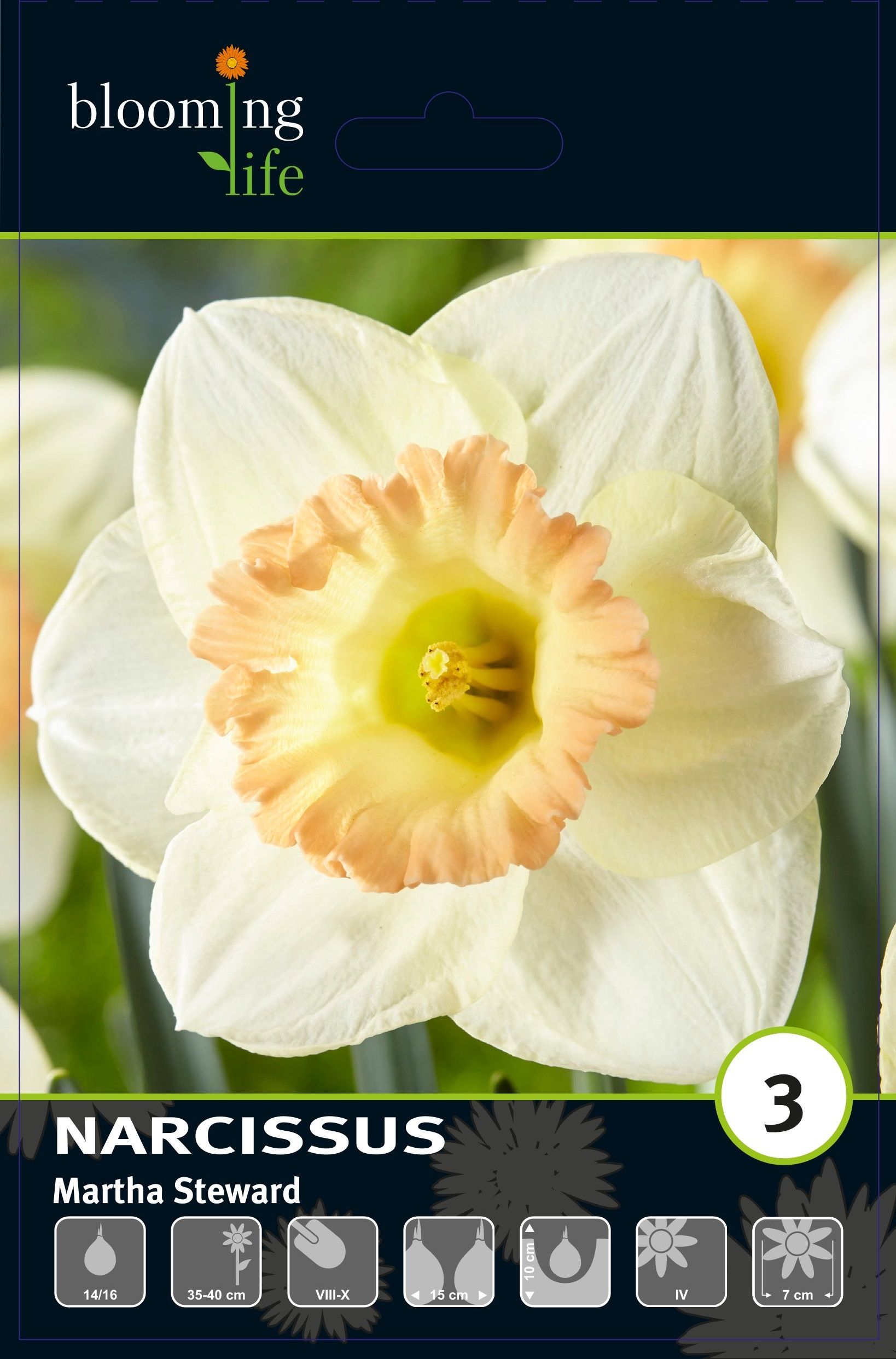 Изображение товара Нарцисс крупнокорончатый Марта Стьворд, 3 шт.