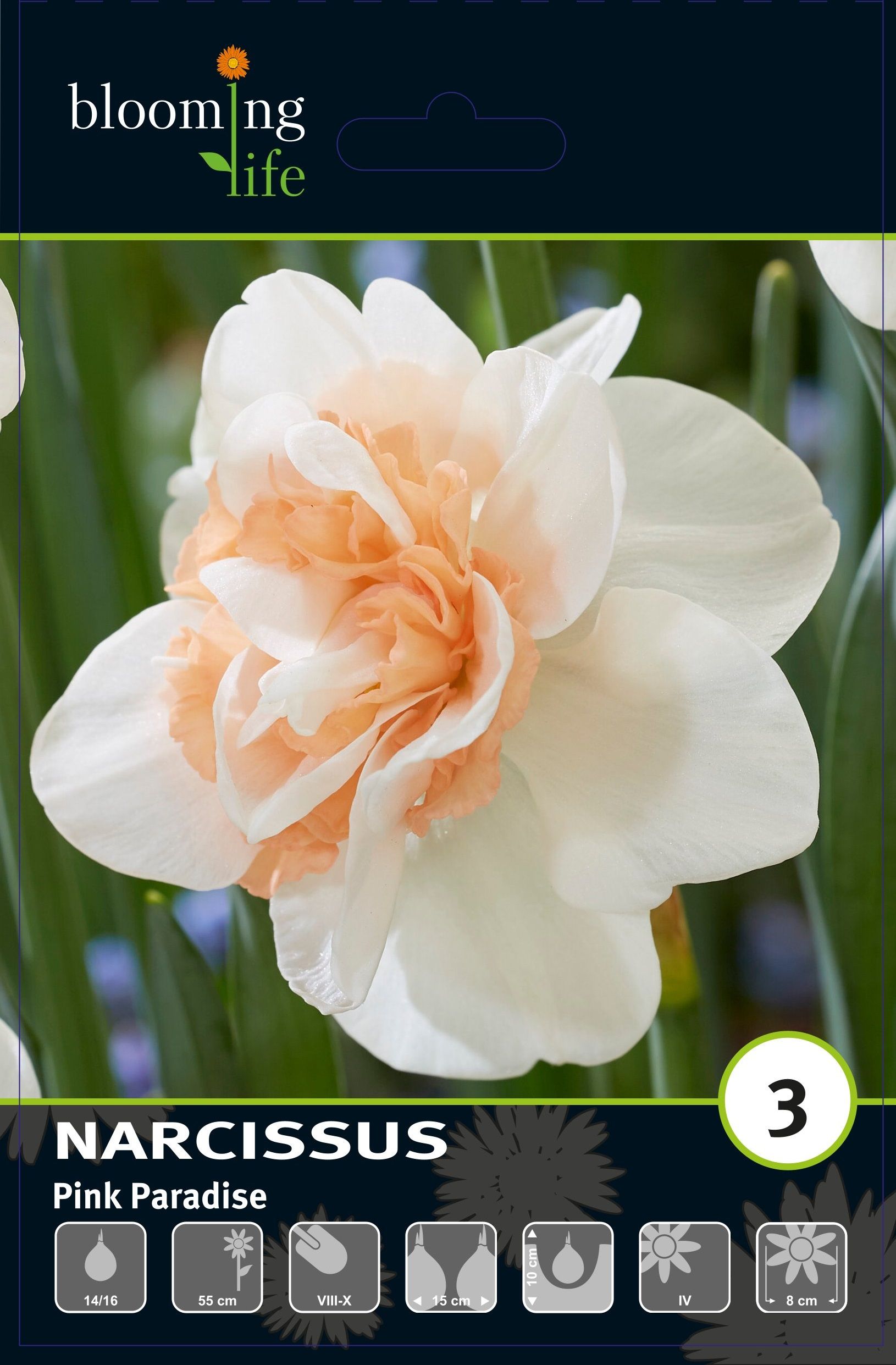 Изображение товара Нарцисс махровый Пинк Передайс 3 шт. цветы для украшения сада и интерьера