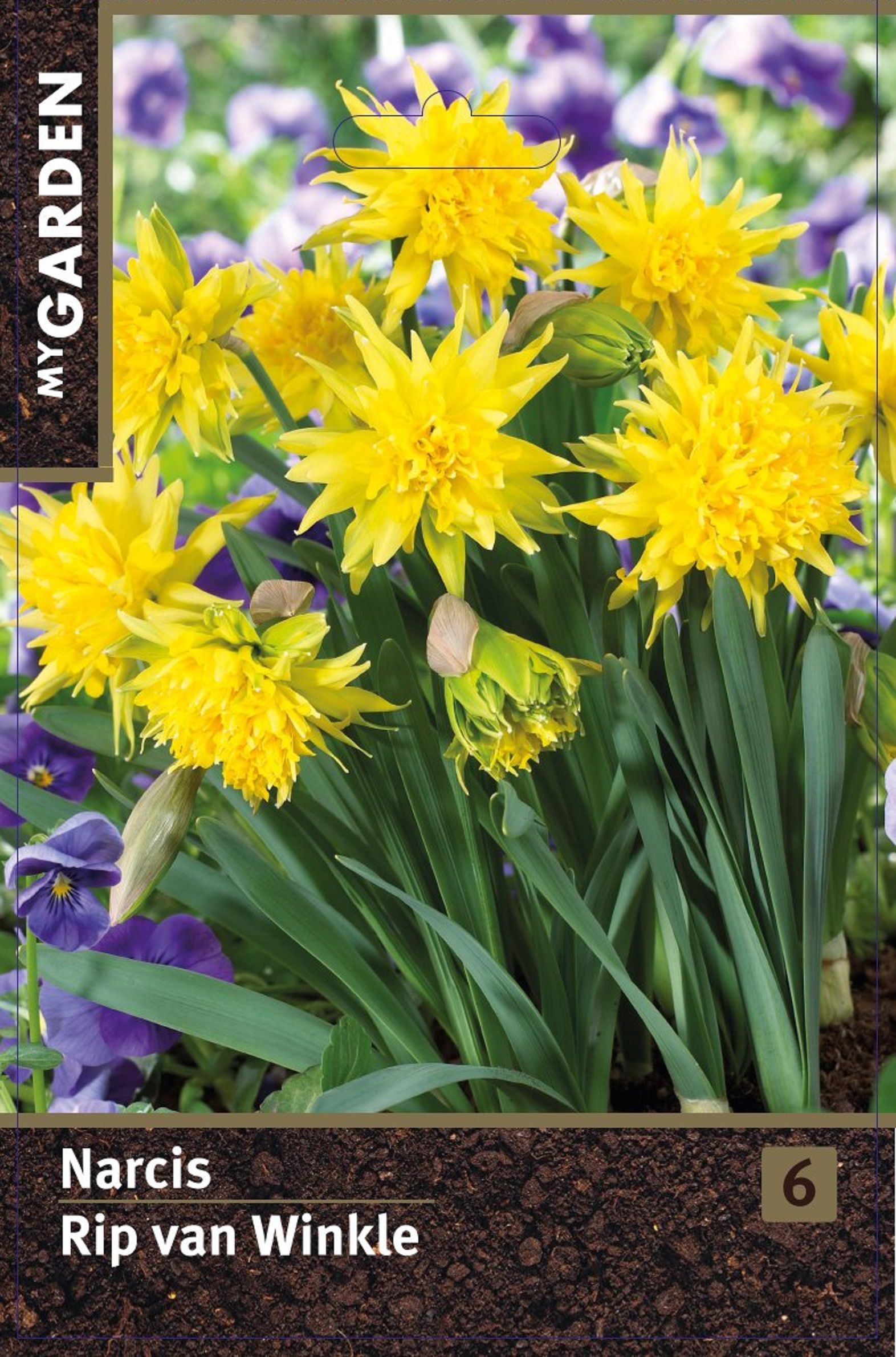 Изображение товара Нарцисс махровый Рип Ван Винкль 6 шт. декоративных цветов