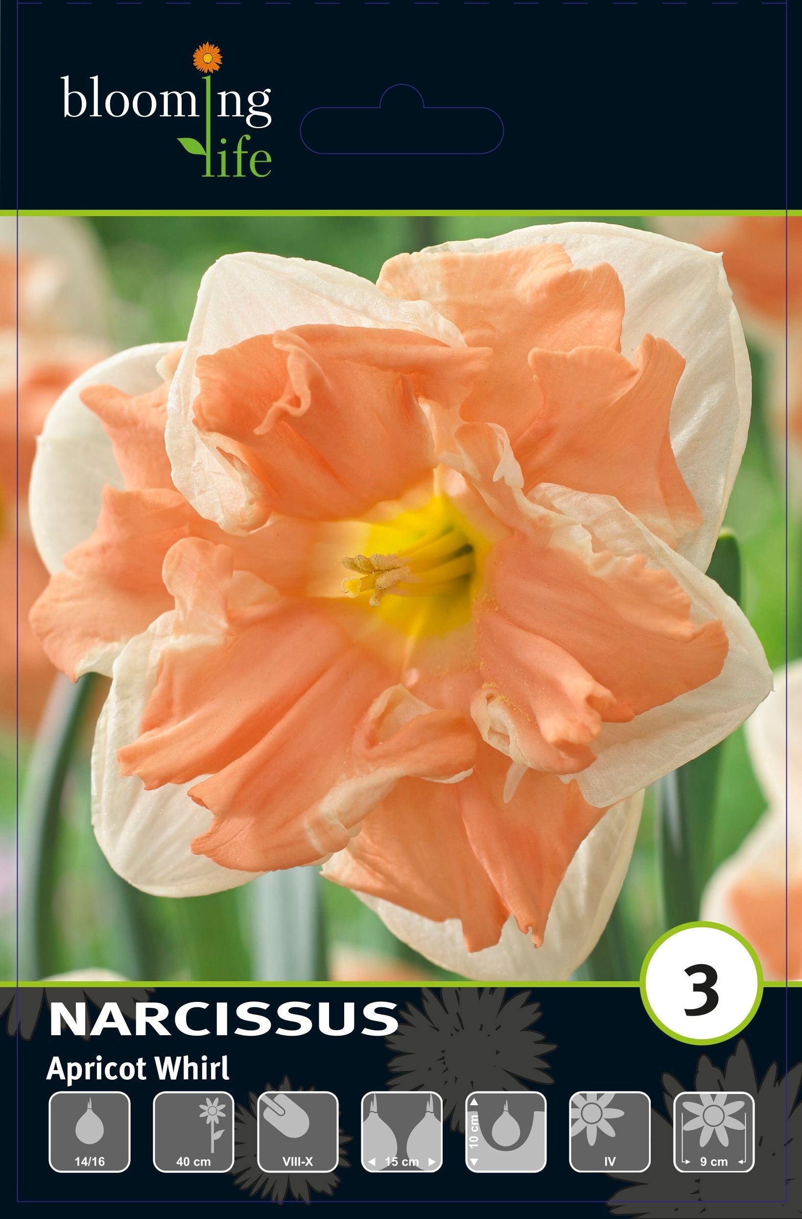 Изображение товара Нарцисс орхидный Эприкот Вирл, 3 шт. - декоративный цветок