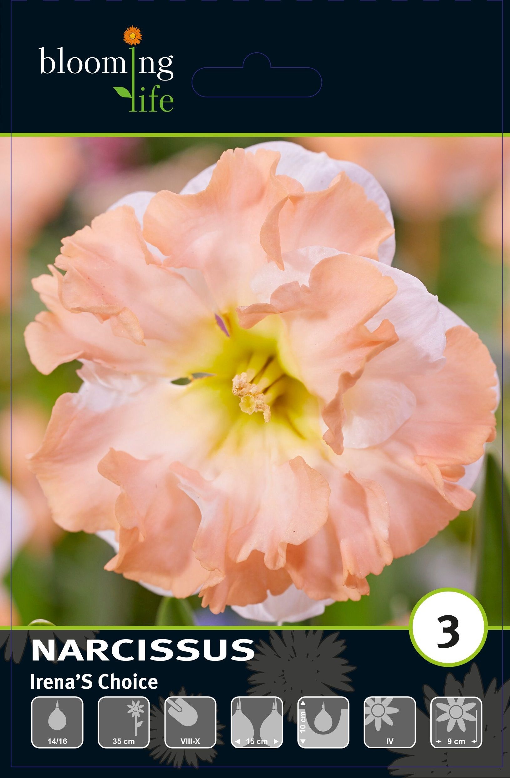 Изображение товара Набор декоративных нарциссов Иренас Чойс 3 шт. для украшения интерьера