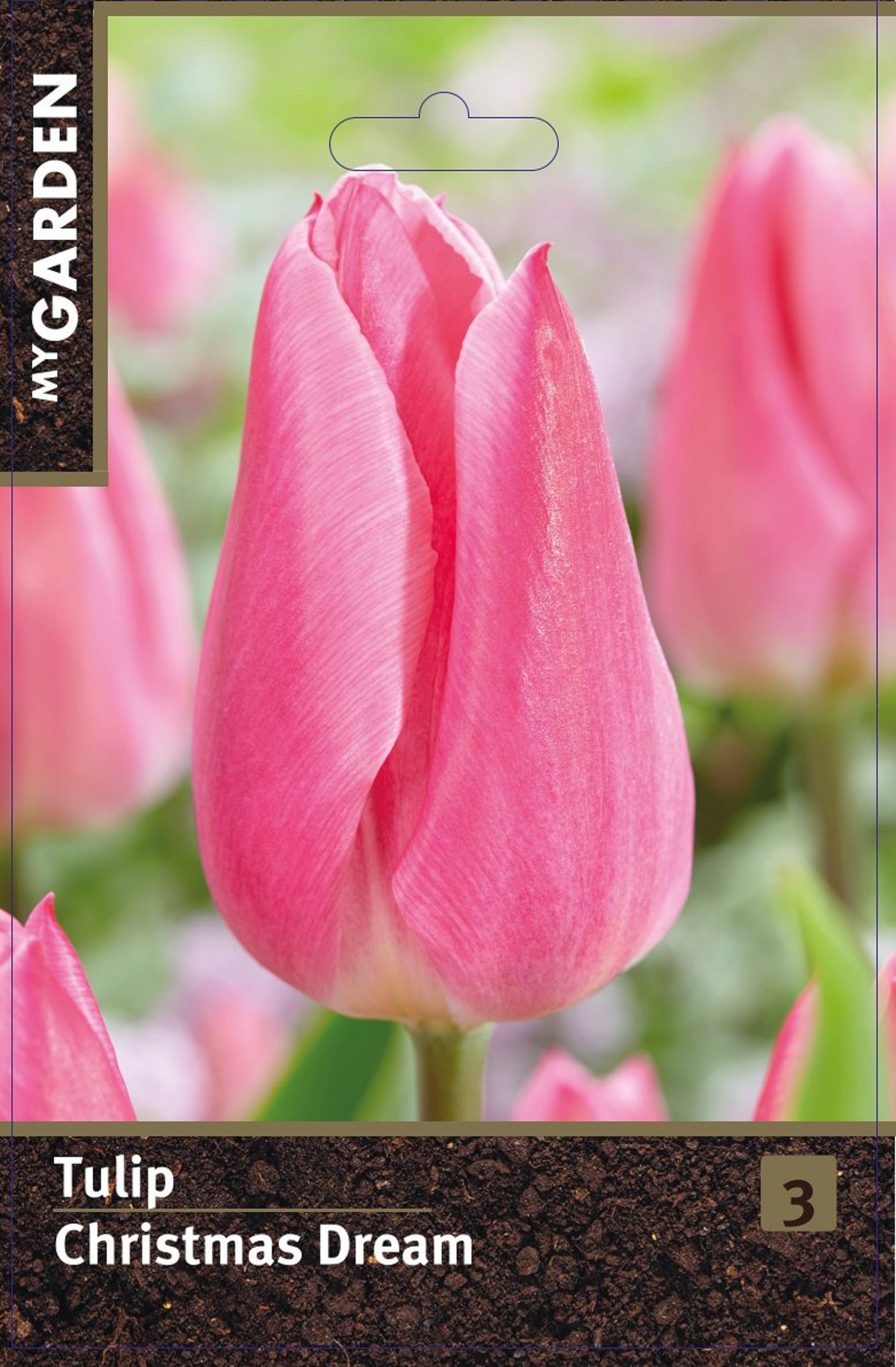Изображение товара Тюльпан Крисмас Дрим, ранний сорт, 3 шт. луковиц для сада и ландшафта