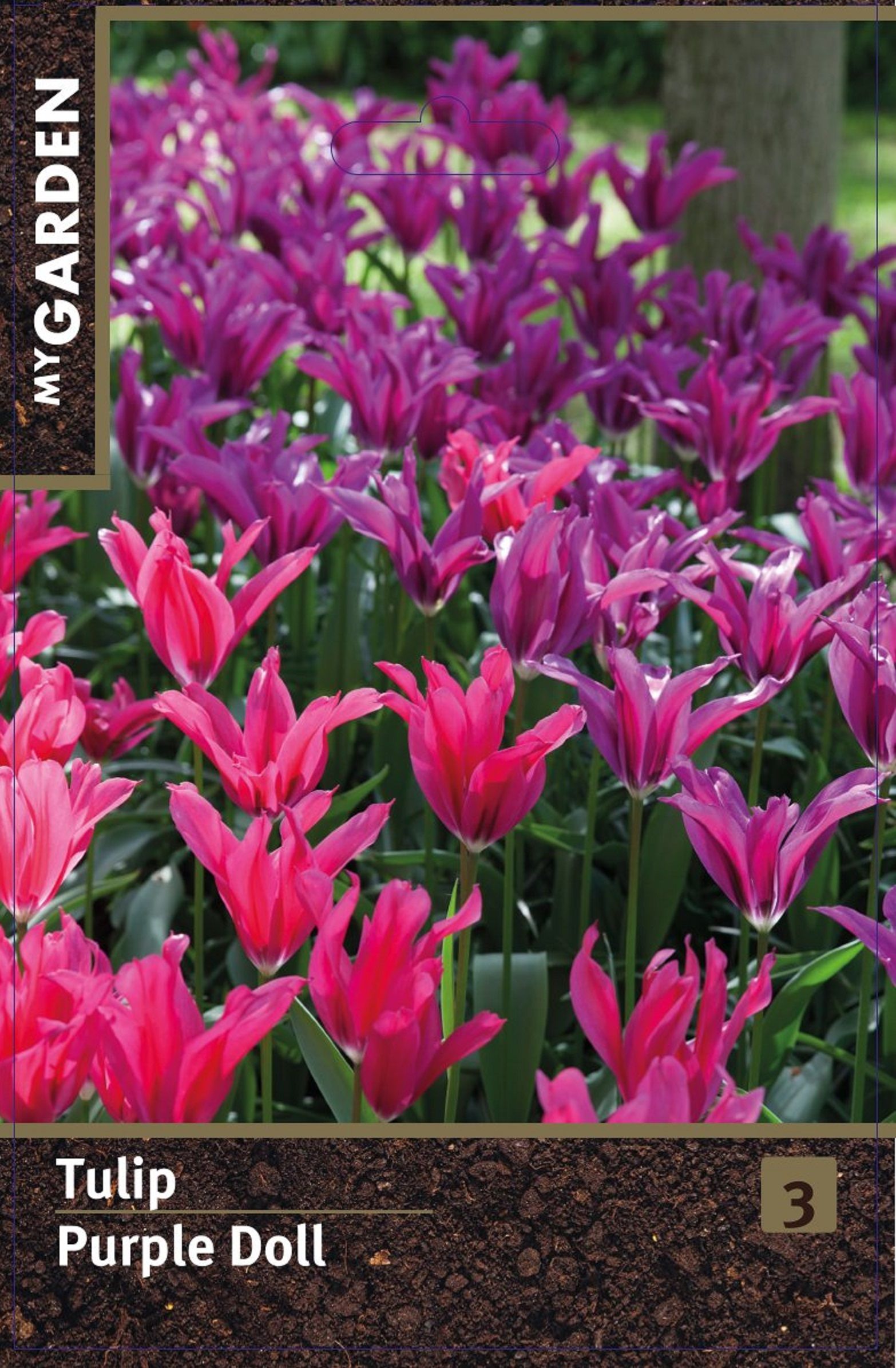 Изображение товара Тюльпан лилиецветный Перпл Долл 3 шт. для сада и клумб