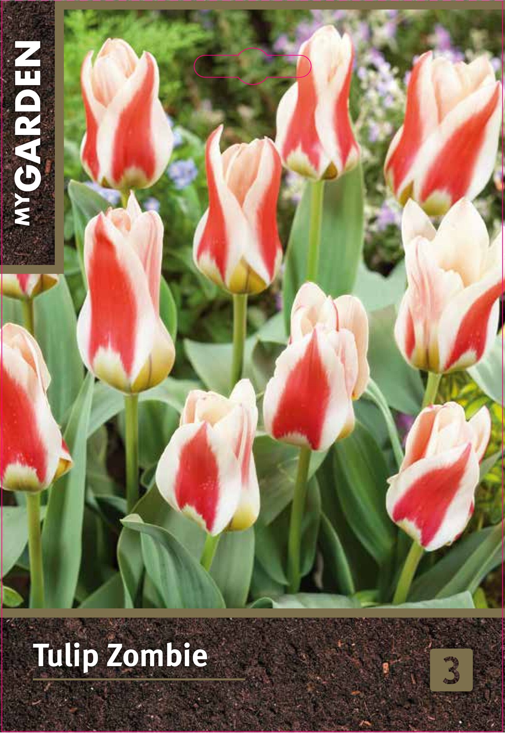 Изображение товара Тюльпан гибрид фостера Зомби, 3 шт. - Луковицы тюльпанов