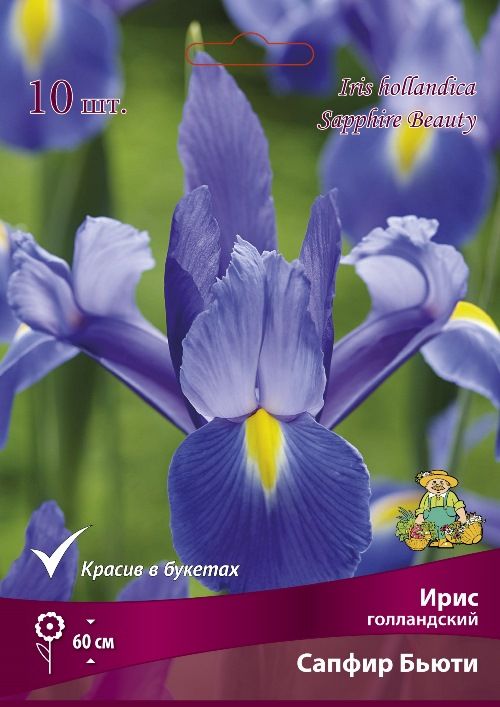 Изображение товара Ирис голландский сапфир бьюти - луковица для красивого сада смешение цветов