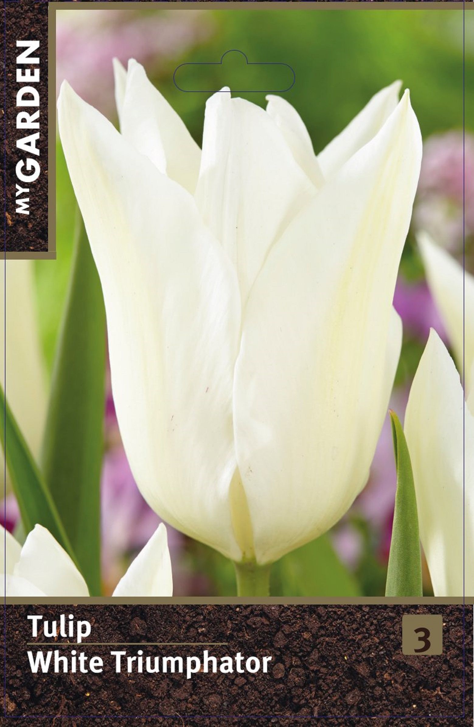 Изображение товара Тюльпан лилиецветный Уайт Триумфатор, 3 шт.