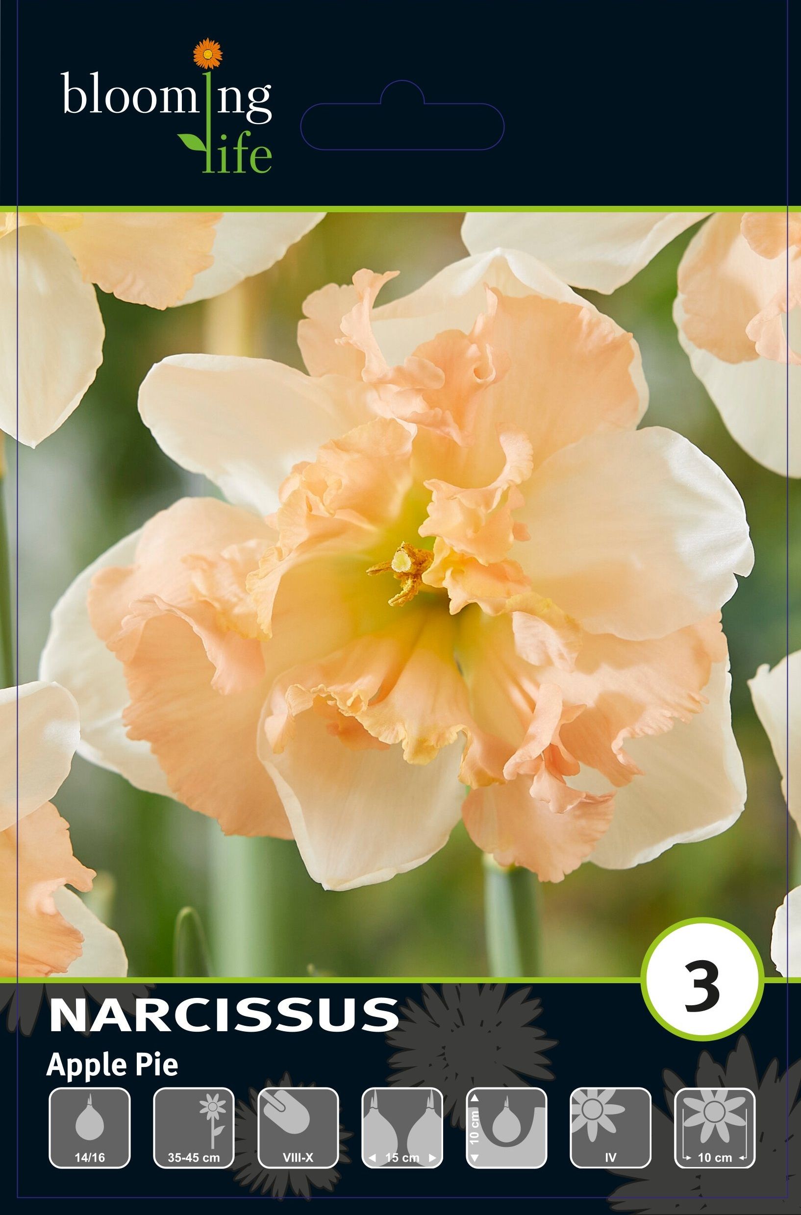 Изображение товара Нарцисс орхидный Эппл Пай, 3 шт.